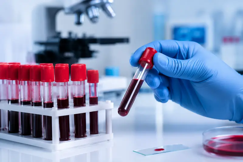 Pathology Laboratory